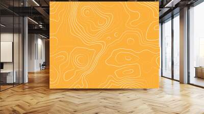 Topographic map, geographic mountain relief. abstract concept graphic element and geography scheme, topographic map and landscape terrain texture grid., abstract colorful topography vector background. Wall mural