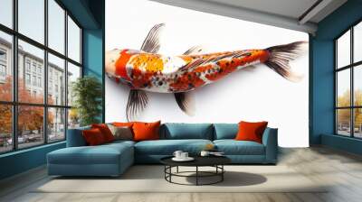 Koi fish on white background Wall mural