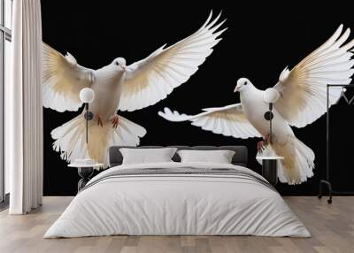 flying white dove birds isolated on transparent background Wall mural