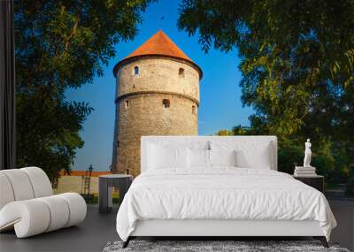 Medieval Tower Kiek-in-de-Kok In Park On Hill Toompea in Tallinn Wall mural