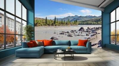 sandy beach on the river Katun Wall mural