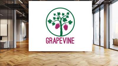 grape vine fruit plant inside circle vector logo design illustration Wall mural