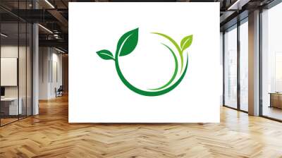 nature herbal organic leaf vector logo design Wall mural