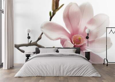 A beautiful pink magnolia flower with delicate petals and a natural branch, perfect for enhancing any floral design. Wall mural