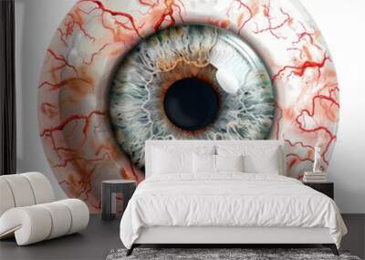 Eyeball, Halloween accessory, isolated on Transparent background, png file. Wall mural