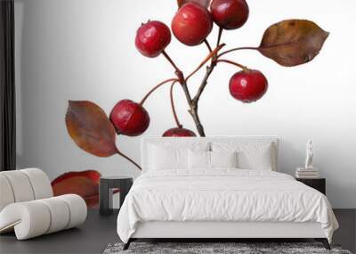 Vibrant red berries and colorful autumn leaves on a branch create a stunning natural decoration. PNG transparent background. Wall mural