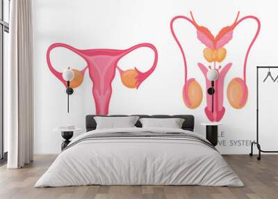 Human reproductive system. Male and female internal genitals, human body anatomy flat vector illustration. Biology education scheme with reproductive organs Wall mural