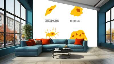 bone cells osteon vector illustration flat style Wall mural