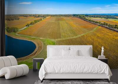 Wide aerial panoramic landscape of  vineyard. Tuerong, Victoria, Australia Wall mural