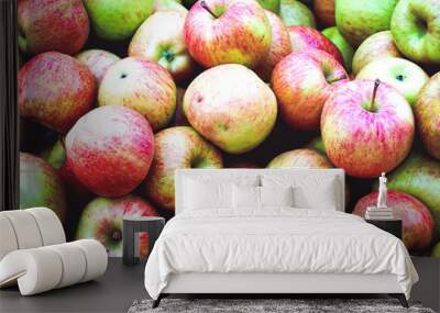 A bunch of delicious Stayman Winesap apples Wall mural