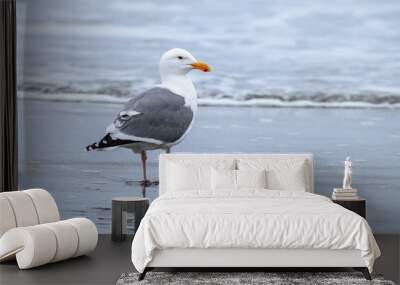 Herring gull on the beach by the ocean just north of Seaside, Oregon. Wall mural