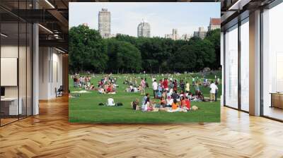 sheep meadow Wall mural