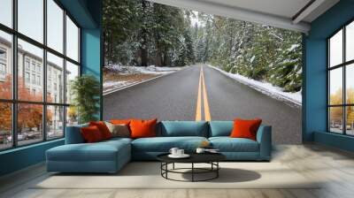 Road Going Into the Forest in the Winter Wall mural