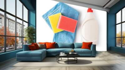 Cleaning products. Sponge, detergent, and cloth for household cleaning. Wall mural