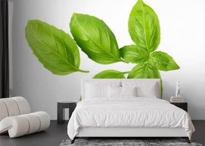 Fresh green basil leaves isolated. png file Wall mural