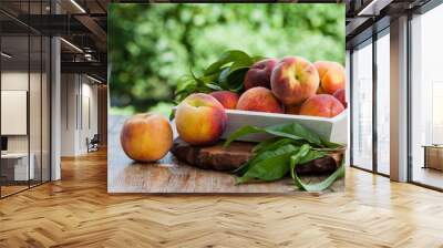 fresh peaches Wall mural