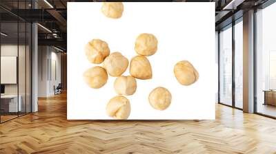 Hazelnuts isolated. png file Wall mural