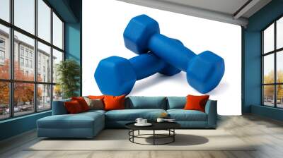 Two of dumbbells Wall mural