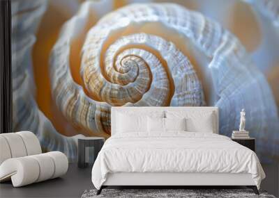 A delicate spiral pattern of a seashell, with its smooth curves and intricate details Wall mural