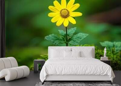 A yellow flower on a green mossy background  Wall mural