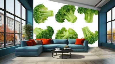 Broccoli isolated on white background, full depth of field Wall mural