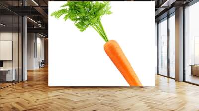 carrot isolated on white background, full depth of field Wall mural