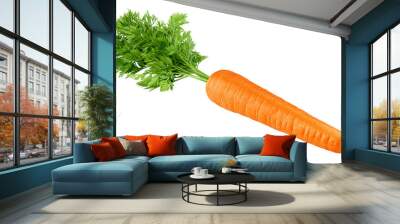 carrot isolated on white background, full depth of field Wall mural