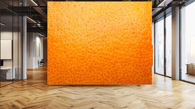 citrus peel, orange, grapefruit, lemon, abstract background Wall mural