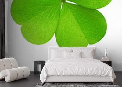 clover isolated on white background, clipping path, full depth of field Wall mural