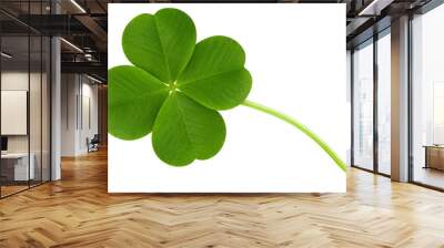 Clover isolated on white background, St. Patrick's Day symbol, full depth of field Wall mural