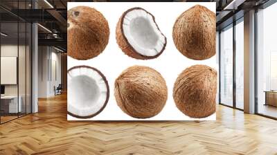 coconut, isolated on white background, full depth of field Wall mural