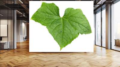 Cucumber leaf isolated on white background, full depth of field, clipping path Wall mural