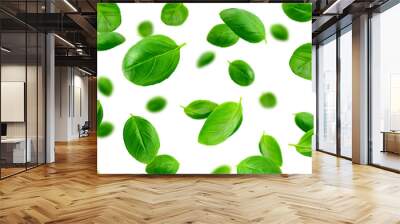 Falling basil, isolated on white background, selective focus Wall mural