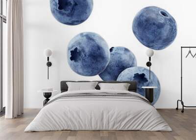 Falling Blueberry isolated on white background, full depth of field Wall mural