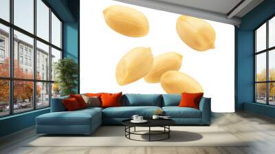 Falling peanut isolated on white background, clipping path, full depth of field Wall mural