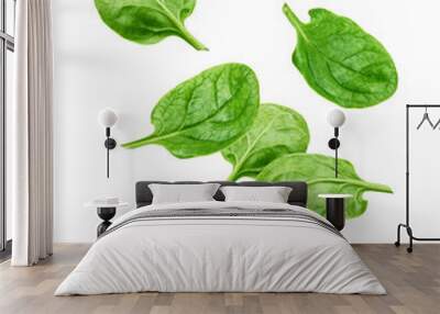 Falling Spinach isolated on white background, clipping path, full depth of field Wall mural