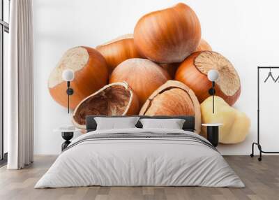 hazelnut isolated on white background, clipping path, full depth of field Wall mural