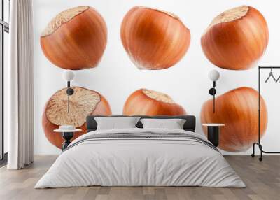 hazelnut isolated on white background, full depth of field Wall mural