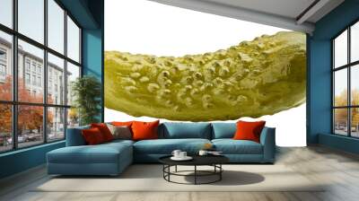 marinated pickled cucumbers isolated on white background, full depth of field Wall mural