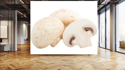 mushroom, champignon, isolated on white background, full depth of field Wall mural