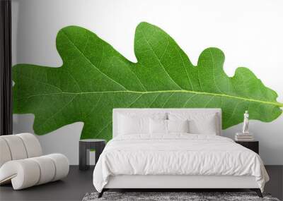 oak leaf, isolated on white background, clipping path, full depth of field Wall mural