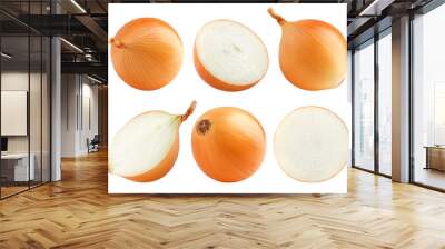 onion, isolated on white background, full depth of field Wall mural