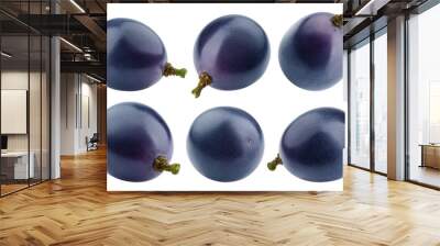 purple or blue Grape, isolated on white background, full depth of field Wall mural