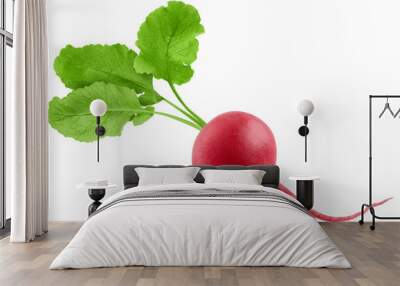 Radish isolated on white background, full depth of field Wall mural