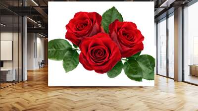 red rose isolated on white background, clipping path, full depth of field Wall mural