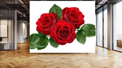 Rose isolated on white background, full depth of field Wall mural