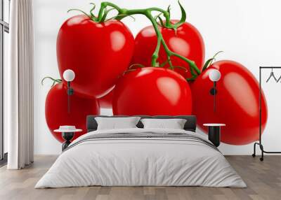 Tomato on branch, isolated on white background, full depth of field Wall mural