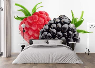 wild berries, raspberry, blackberriy isolated on white background, clipping path, full depth of field Wall mural