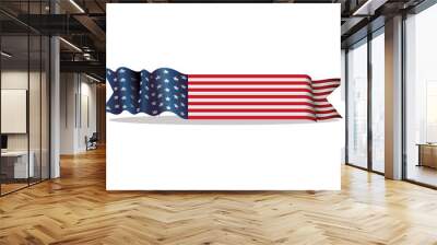 banner ribbon united states of america vector illustration Wall mural