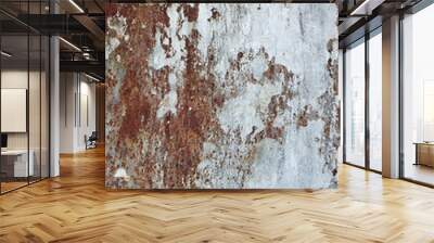 Rusty metal background Wall mural